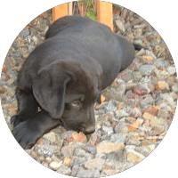 Picture of Doreen Beemer